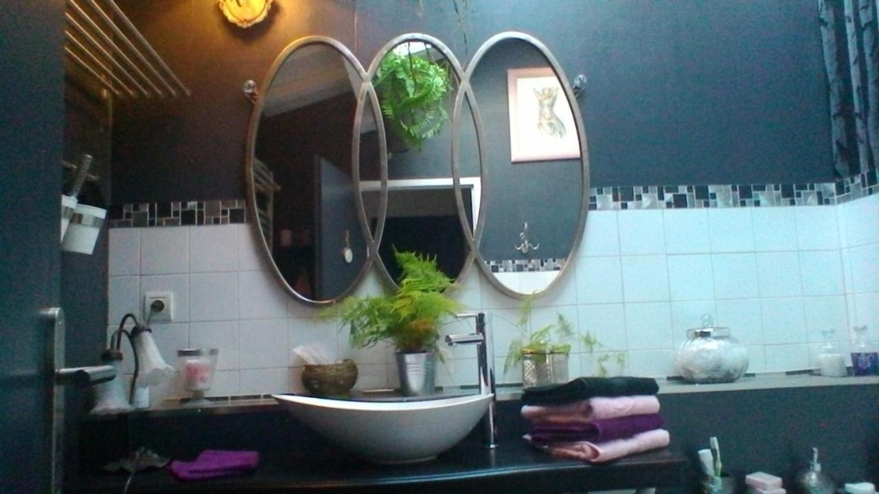 Le Domaine De La Lezardiere B&B Espiet Luaran gambar